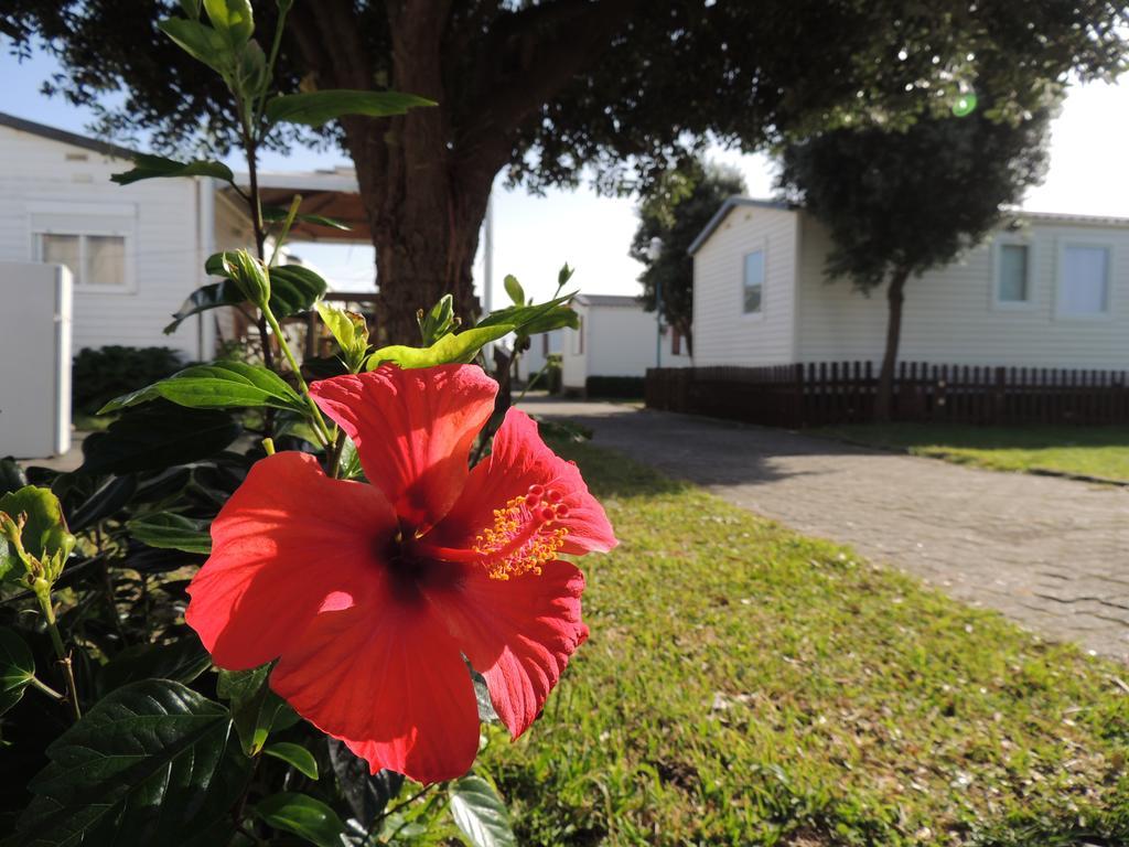 Camping 1ª O Muino - Bungalow Park Oia Exterior foto